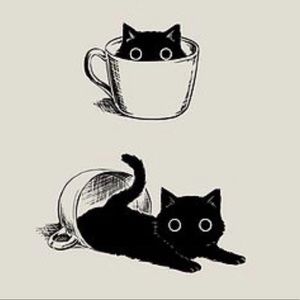 Meet your Posher, Caitlin